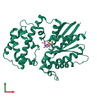 PDB entry 2zjy coloured by chain, front view.