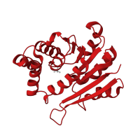 The deposited structure of PDB entry 2zlb contains 1 copy of CATH domain 3.40.50.150 (Rossmann fold) in Catechol O-methyltransferase. Showing 1 copy in chain A.