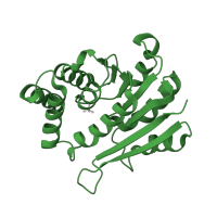 The deposited structure of PDB entry 2zlb contains 1 copy of SCOP domain 53336 (COMT-like) in Catechol O-methyltransferase. Showing 1 copy in chain A.