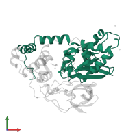 Nitrile hydratase subunit alpha in PDB entry 2zpf, assembly 1, front view.