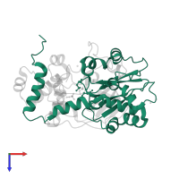 Nitrile hydratase subunit alpha in PDB entry 2zpf, assembly 1, top view.