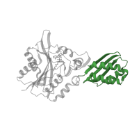 The deposited structure of PDB entry 3a7a contains 2 copies of CATH domain 3.30.390.50 (Enolase-like; domain 1) in Lipoate-protein ligase A. Showing 1 copy in chain A.