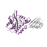 The deposited structure of PDB entry 3a7a contains 2 copies of CATH domain 3.30.930.10 (BirA Bifunctional Protein; domain 2) in Lipoate-protein ligase A. Showing 1 copy in chain A.