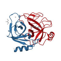 The deposited structure of PDB entry 3a83 contains 2 copies of CATH domain 2.40.10.10 (Thrombin, subunit H) in Serine protease 1. Showing 2 copies in chain A.
