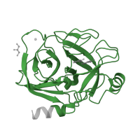 The deposited structure of PDB entry 3a83 contains 1 copy of Pfam domain PF00089 (Trypsin) in Serine protease 1. Showing 1 copy in chain A.