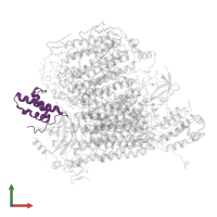 Cytochrome c oxidase subunit 6B1 in PDB entry 3ag2, assembly 2, front view.