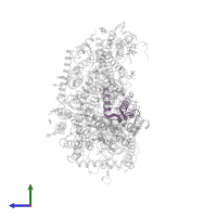 Cytochrome c oxidase subunit 6B1 in PDB entry 3ag2, assembly 2, side view.