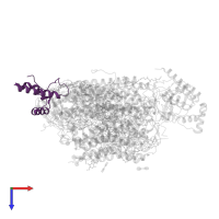 Cytochrome c oxidase subunit 6B1 in PDB entry 3ag2, assembly 2, top view.