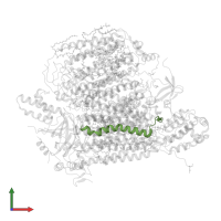 Cytochrome c oxidase subunit 8B, mitochondrial in PDB entry 3ag4, assembly 1, front view.