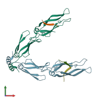 PDB entry 3agy coloured by chain, front view.