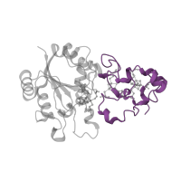 The deposited structure of PDB entry 3ayz contains 2 copies of CATH domain 4.10.480.10 (Cytochrome-c3 Hydrogenase; Chain A, domain 2) in hydrogenase (acceptor). Showing 1 copy in chain B.