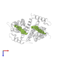 2,2'-[(1R,1'R,3S,3'S)-6,6',9,9'-tetrahydroxy-1,1'-dimethyl-5,5',10,10'-tetraoxo-3,3',4,4',5,5',10,10'-octahydro-1H,1'H-8,8'-bibenzo[g]isochromene-3,3'-diyl]diacetic acid in PDB entry 3b6a, assembly 1, top view.