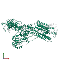 Sodium/potassium-transporting ATPase subunit alpha-1 in PDB entry 3b8e, assembly 1, front view.