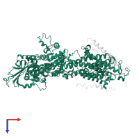Sodium/potassium-transporting ATPase subunit alpha-1 in PDB entry 3b8e, assembly 1, top view.