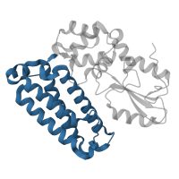 The deposited structure of PDB entry 3bum contains 1 copy of CATH domain 1.20.930.20 (Transcription Elongation Factor S-II; Chain A) in E3 ubiquitin-protein ligase CBL. Showing 1 copy in chain B.