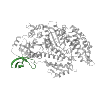 The deposited structure of PDB entry 3bz8 contains 1 copy of SCOP domain 50085 (Myosin S1 fragment, N-terminal domain) in Myosin-2 heavy chain. Showing 1 copy in chain A.