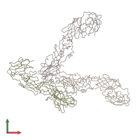 Basic Structure of a Virus Dengue Virus Asymmetric Molecular Architecture 