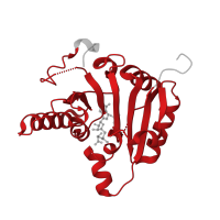 The deposited structure of PDB entry 3ckk contains 1 copy of CATH domain 3.40.50.150 (Rossmann fold) in tRNA (guanine-N(7)-)-methyltransferase. Showing 1 copy in chain A.