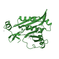 The deposited structure of PDB entry 3cla contains 1 copy of SCOP domain 52778 (CAT-like) in Chloramphenicol acetyltransferase 3. Showing 1 copy in chain A.