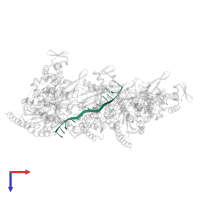 DNA (5'-D(*DTP*DTP*DTP*DTP*DTP*DTP*DTP*DTP*DTP*DTP*DTP*DTP*DTP*DTP*DT)-3') in PDB entry 3cmx, assembly 1, top view.