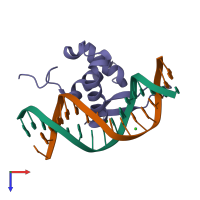 PDB entry 3co6 coloured by chain, top view.