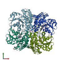 PDB entry 3cog coloured by chain, front view.