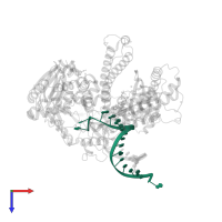 DNA (5'-D(*DAP*DCP*DAP*DGP*DGP*DTP*DAP*DAP*DGP*DCP*DAP*DGP*DTP*DCP*DCP*DGP*DCP*DG)-3') in PDB entry 3cq8, assembly 1, top view.