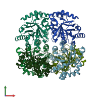 PDB entry 3ctl coloured by chain, front view.