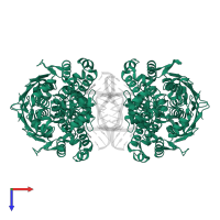 DNA-3-methyladenine glycosylase 2 in PDB entry 3cwa, assembly 1, top view.