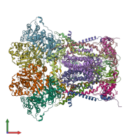 PDB entry 3cwb coloured by chain, front view.