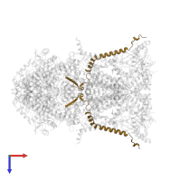 Cytochrome b-c1 complex subunit 8 in PDB entry 3cwb, assembly 1, top view.