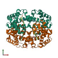 Hetero tetrameric assembly 1 of PDB entry 3d17 coloured by chemically distinct molecules, front view.