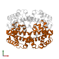 Hemoglobin subunit beta in PDB entry 3d17, assembly 1, front view.