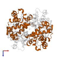 Hemoglobin subunit beta in PDB entry 3d17, assembly 1, top view.