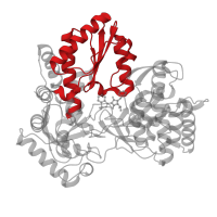 The deposited structure of PDB entry 3d28 contains 2 copies of CATH domain 3.30.70.270 (Alpha-Beta Plaits) in RNA-directed RNA polymerase. Showing 1 copy in chain A.