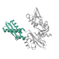 The deposited structure of PDB entry 3d2f contains 2 copies of CATH domain 3.90.640.10 (Actin; Chain A, domain 4) in Heat shock 70 kDa protein 1A. Showing 1 copy in chain B.