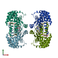 PDB entry 3d4n coloured by chain, front view.