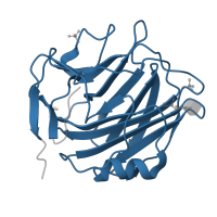 The deposited structure of PDB entry 3d5o contains 5 copies of Pfam domain PF00354 (Pentaxin family) in Serum amyloid P-component. Showing 1 copy in chain A.