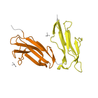 The deposited structure of PDB entry 3d5o contains 2 copies of Pfam domain PF13895 (Immunoglobulin domain) in Low affinity immunoglobulin gamma Fc region receptor II-a. Showing 2 copies in chain F.