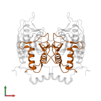 Caspase-1 subunit p10 in PDB entry 3d6m, assembly 1, front view.