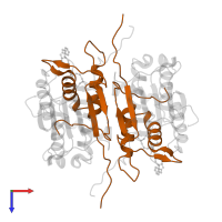 Caspase-1 subunit p10 in PDB entry 3d6m, assembly 1, top view.