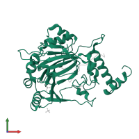 Hypoxia-inducible factor 1-alpha inhibitor in PDB entry 3d8c, assembly 2, front view.