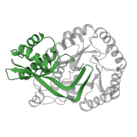 The deposited structure of PDB entry 3dg6 contains 1 copy of Pfam domain PF02746 (Mandelate racemase / muconate lactonizing enzyme, N-terminal domain) in Mandelate racemase/muconate lactonizing enzyme C-terminal domain-containing protein. Showing 1 copy in chain A.