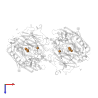 COPPER (II) ION in PDB entry 3dkh, assembly 1, top view.