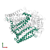 Reaction center protein L chain in PDB entry 3dtr, assembly 1, front view.