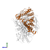 Reaction center protein M chain in PDB entry 3dtr, assembly 1, side view.