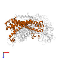 Reaction center protein M chain in PDB entry 3dtr, assembly 1, top view.