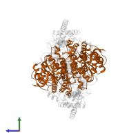 Pyruvate dehydrogenase E1 component subunit beta in PDB entry 3duf, assembly 1, side view.