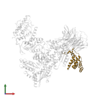 Actin-related protein 2/3 complex subunit 5 in PDB entry 3dxm, assembly 1, front view.