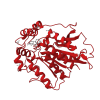 The deposited structure of PDB entry 3ed1 contains 6 copies of CATH domain 3.40.50.1820 (Rossmann fold) in Gibberellin receptor GID1. Showing 1 copy in chain A.